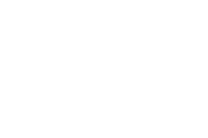 Inspired Holding Group