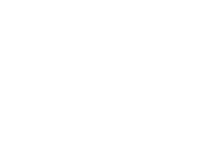 HENZER