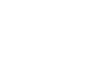 Microdigit